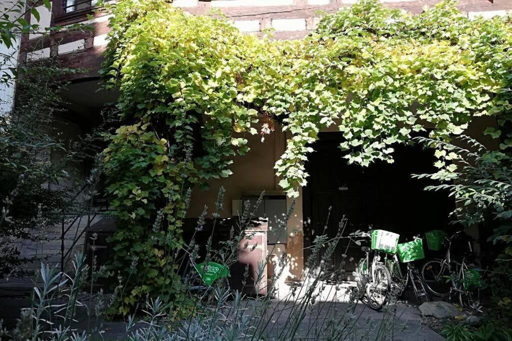 La Chaumiere Estrasburgo Exterior foto